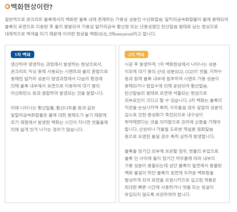 백화1.png