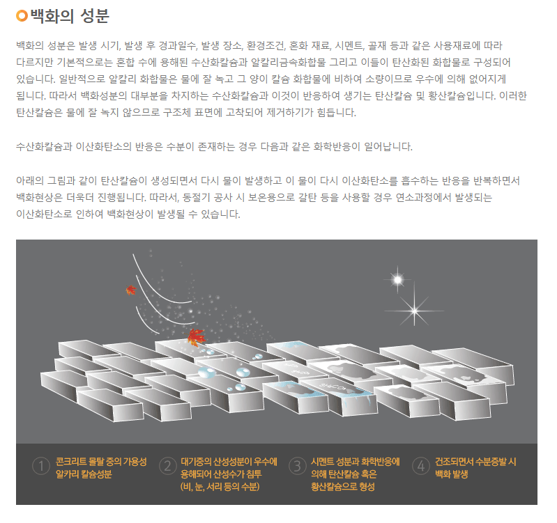 백화3.png