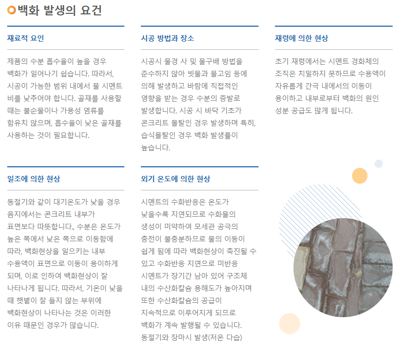 백화2.png
