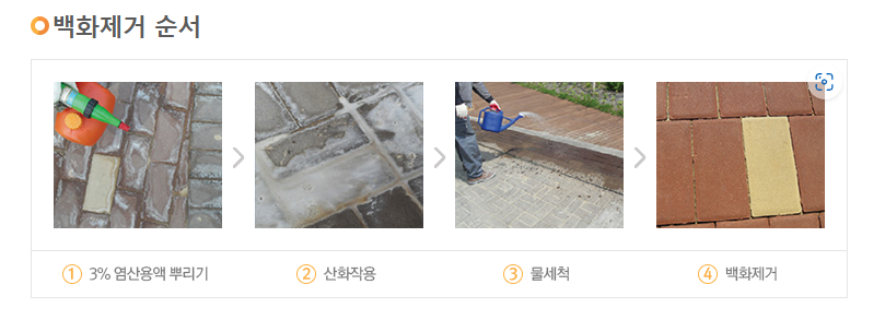 백화5.png